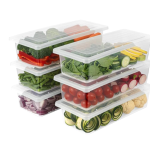 VOLTURI Fridge Storage Containers