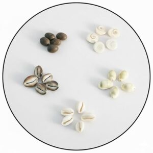 Combo of White Kaudi, Pili Kaudi, Kali Kaudi, Gomti Chakra & Kamal Gatta – 5 Pcs Each (Total 25 Pcs) | For Akshay Tritiya Diwali Puja, Lakshmi Puja & Kuber Pooja