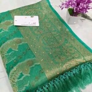 Fancy Green Organza Saree with Swarovski Stone & Jhalar